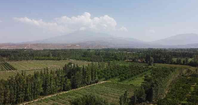 İrem Bağları, doğal güzelliği ve meyve sebzesiyle göz kamaştırıyor