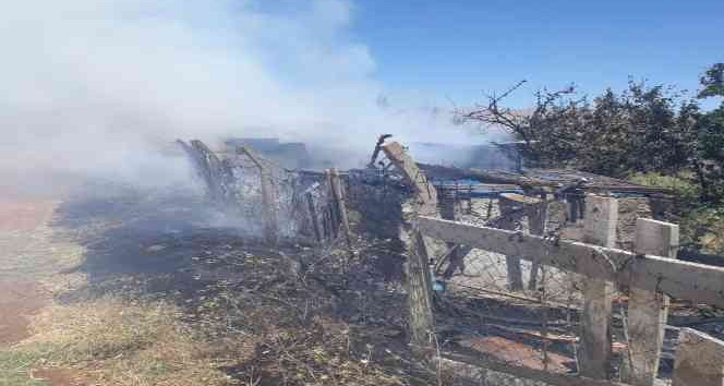 Müstakil evin bahçesinde çıkan yangın büyümeden söndürüldü