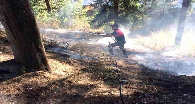 Çamlıkta çıkan büyümeden söndürüldü