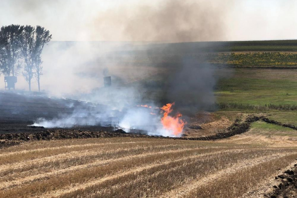Kırklareli’nde anız yangını: 132 dönüm tarım arazisi zarar gördü