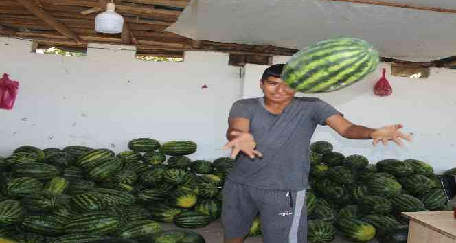 Doğunun Çukurova’sından çevre illere sebze ve meyve satışı