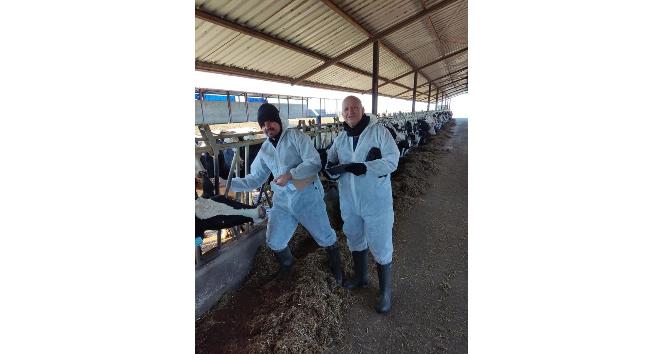 Kırklareli’nde arilik çalışmaları sürüyor