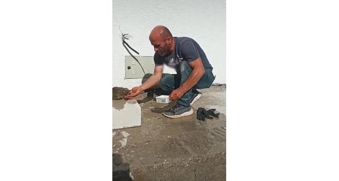 Bitkin halde bulduğu kirpiye elleriyle su içirdi