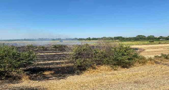 Kırklareli’nde anızlık alanda çıkan yangında 150 dekar alan zarar gördü