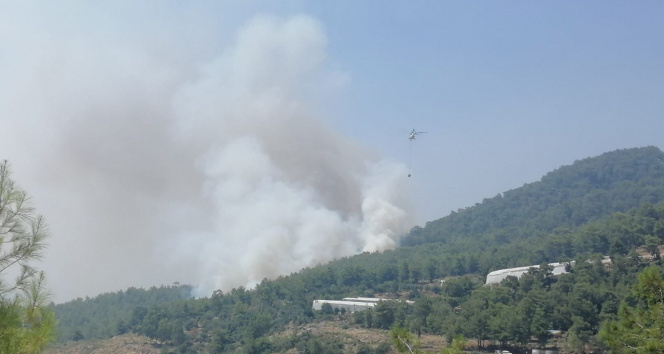 Mersinde orman yangınına 2 uçak ve 5 helikopterle müdahale ediliyor