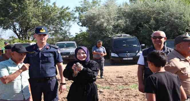 Kırşehir’de keklikler doğaya salındı