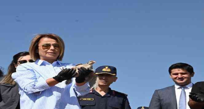 Hırka Dağı’na keklik salındı