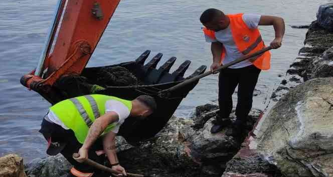Yalova Belediyesi’nin yosunla mücadelesi devam ediyor