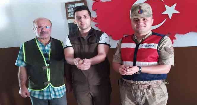 Siirt’te kaçak avcıya para cezası
