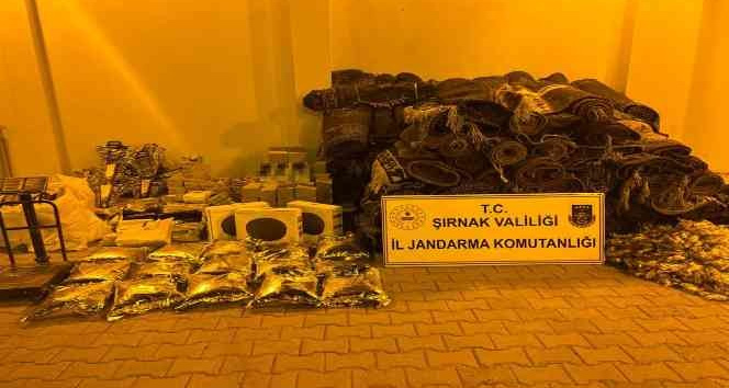Şırnak’ta kaçakçılık ve asayiş operasyonu: 24 gözaltı