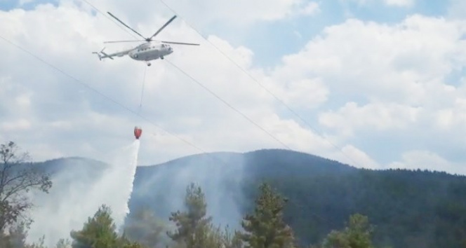 Tavşanlıda orman yangını helikopter desteği ile kısa sürede söndürüldü