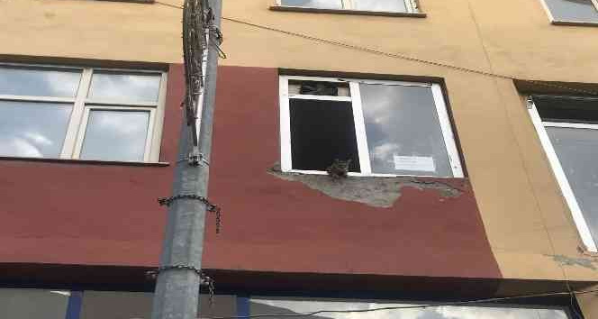 Binanın 2’nci katında mahsur kalan kediler, şaşkın bakışlar içinde kurtarılmayı bekledi