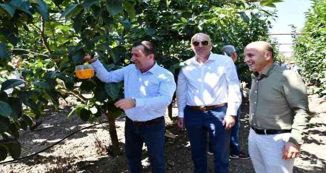 Studenicani ve Tuzi heyetleri, Altınova’ya hayran kaldı