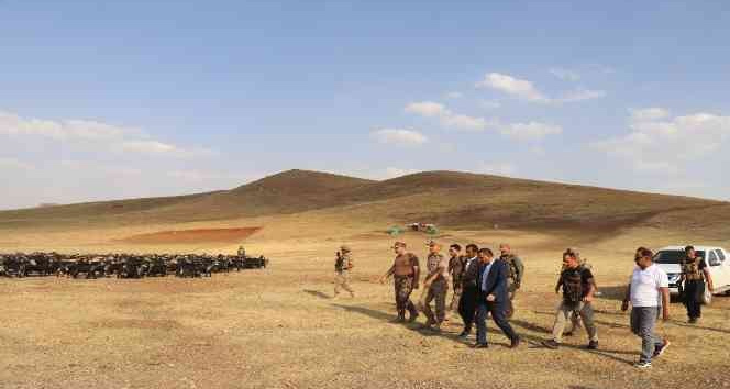 Siirt’te 1700 rakımlı yaylada artık silah sesleri yerine insan sesleri yankılanıyor