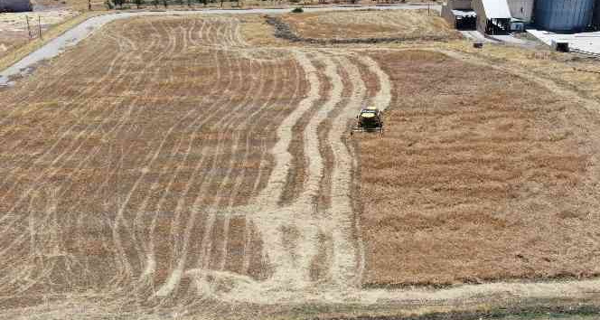 Diyarbakır’da devlet desteğiyle tarımsal üretimde artış devam ediyor