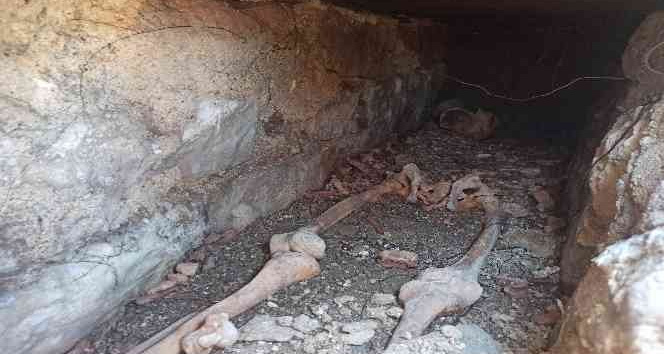 30 yıl önce vefat eden kuzeninin mezarını ararken  bin 500 yıllık Bizans mezarını buldu