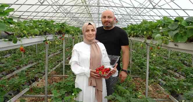 Hobi olarak başladıkları topraksız tarım meslek sahibi yaptı