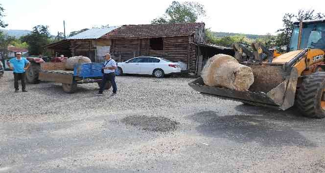 Altınkılıç ailesi, kaybolan sütunlarla ilgili açıklama yaptı