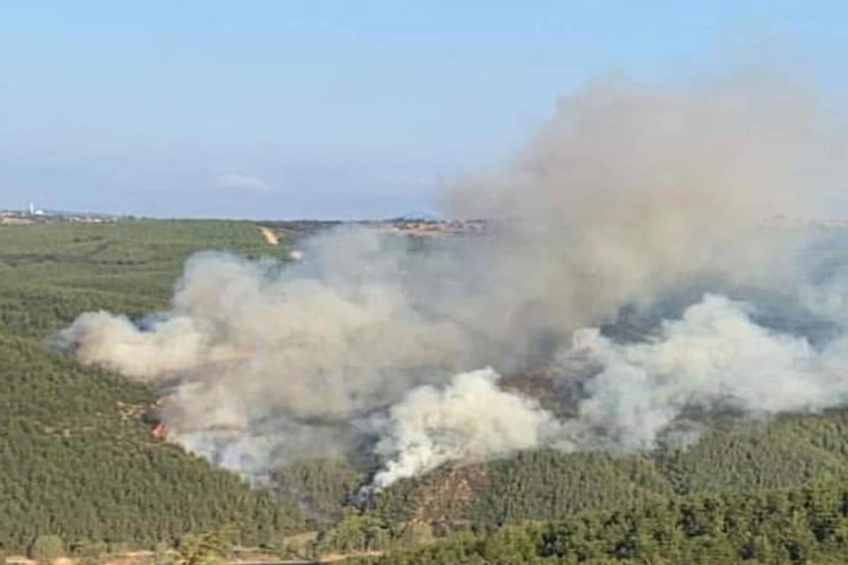 Balıkesir Susurluk'taki orman yangını kontrol altında