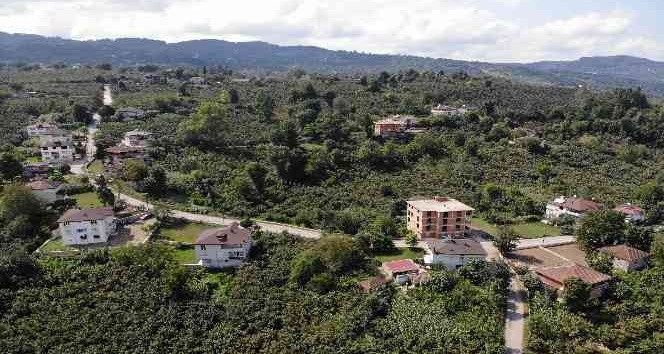 Su arbedesinde gözaltına alınan vatandaşlar: “Bize Amerikan polisi gibi davrandılar”