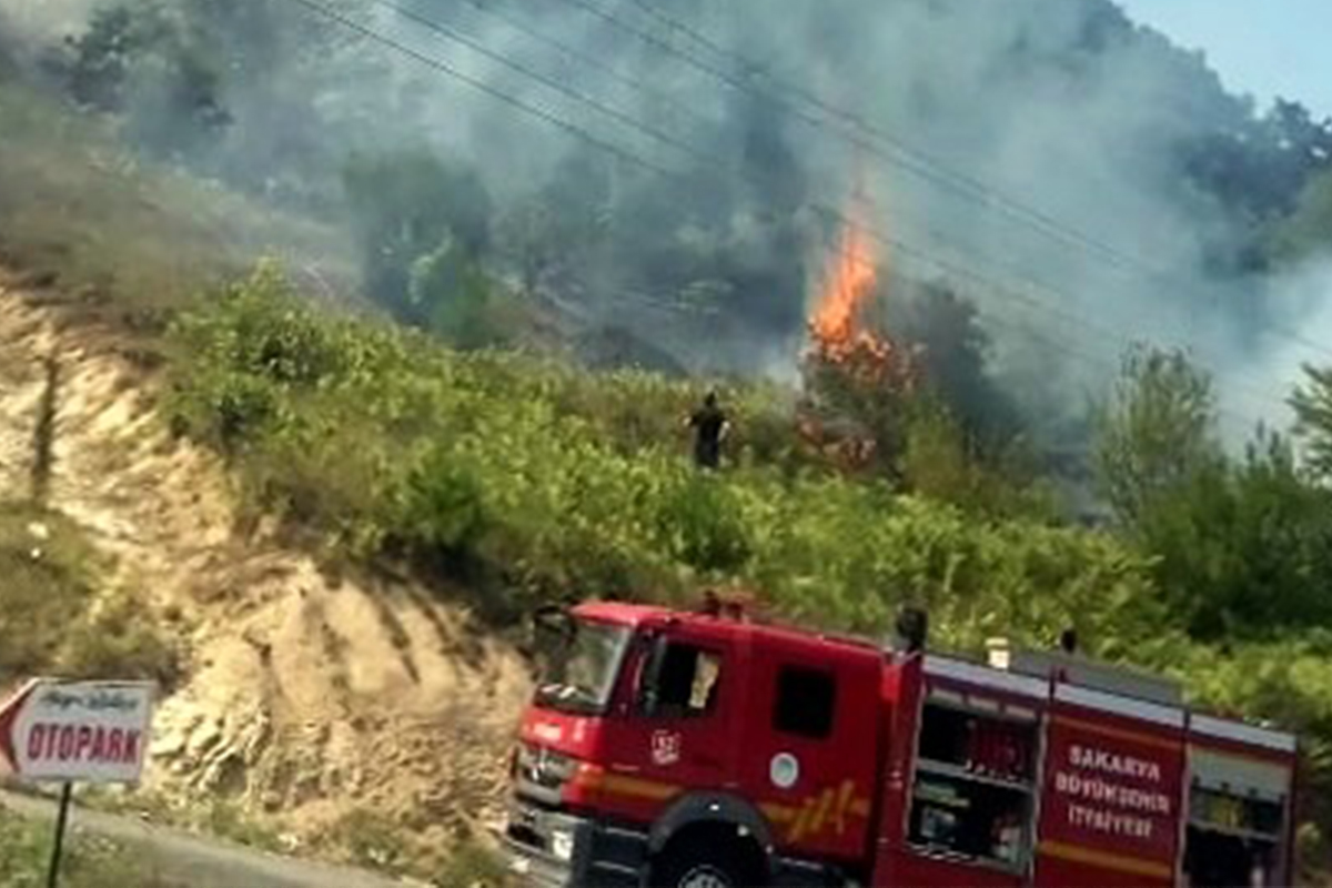 Sakarya'da ormanlık alanda korkutan yangın