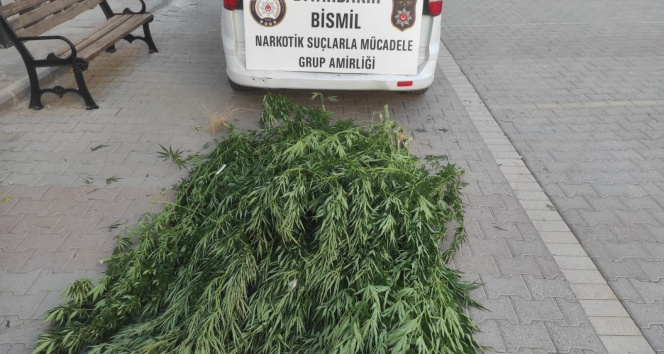 Diyarbakırda huzur uygulaması: Silah ve uyuşturucu ele geçirildi