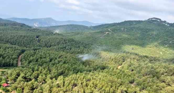 Osmaniye’deki orman yangını kontrol altına alındı
