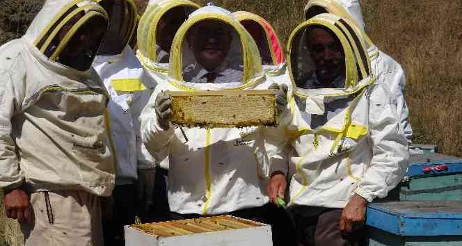 Vali Hatipoğlu, arıcı maskesini giydi bal hasadı yaptı