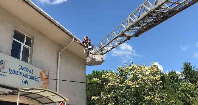 Çanakkale’de boynuna ip dolanan ebabil kuşu kurtarıldı