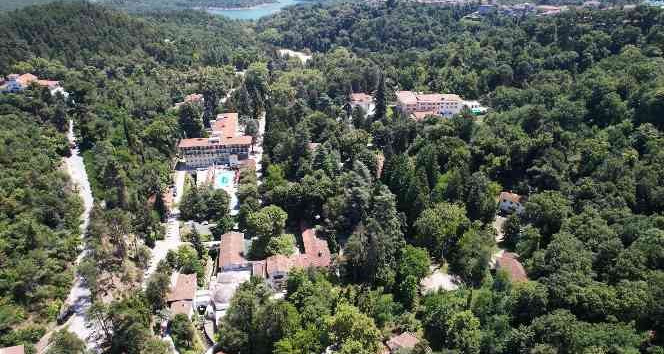 Türkiye’nin ilk ağaç müzesi ziyaretçilerini mest ediyor