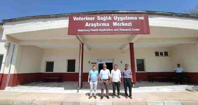 Uşak Belediyesinden sokak hayvanları için önemli iş birliği