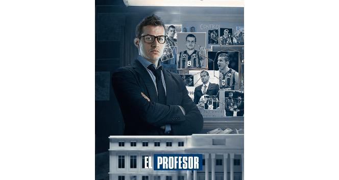 Nemanja Bjelica, Fenerbahçe’de