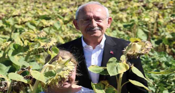 Kılıçdaroğlu: Ayçiçeği taban fiyatı ton başına 16 bin lira olmalı