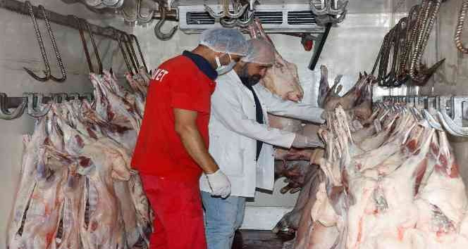 Diyarbakır’dan Kuveyt’e kuzu eti ihracatı