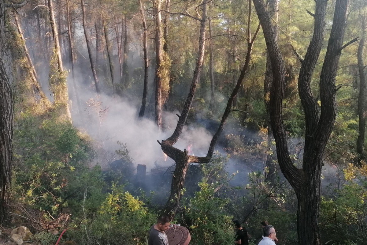 Manavgat&#039;taki orman yangını büyümeden söndürüldü