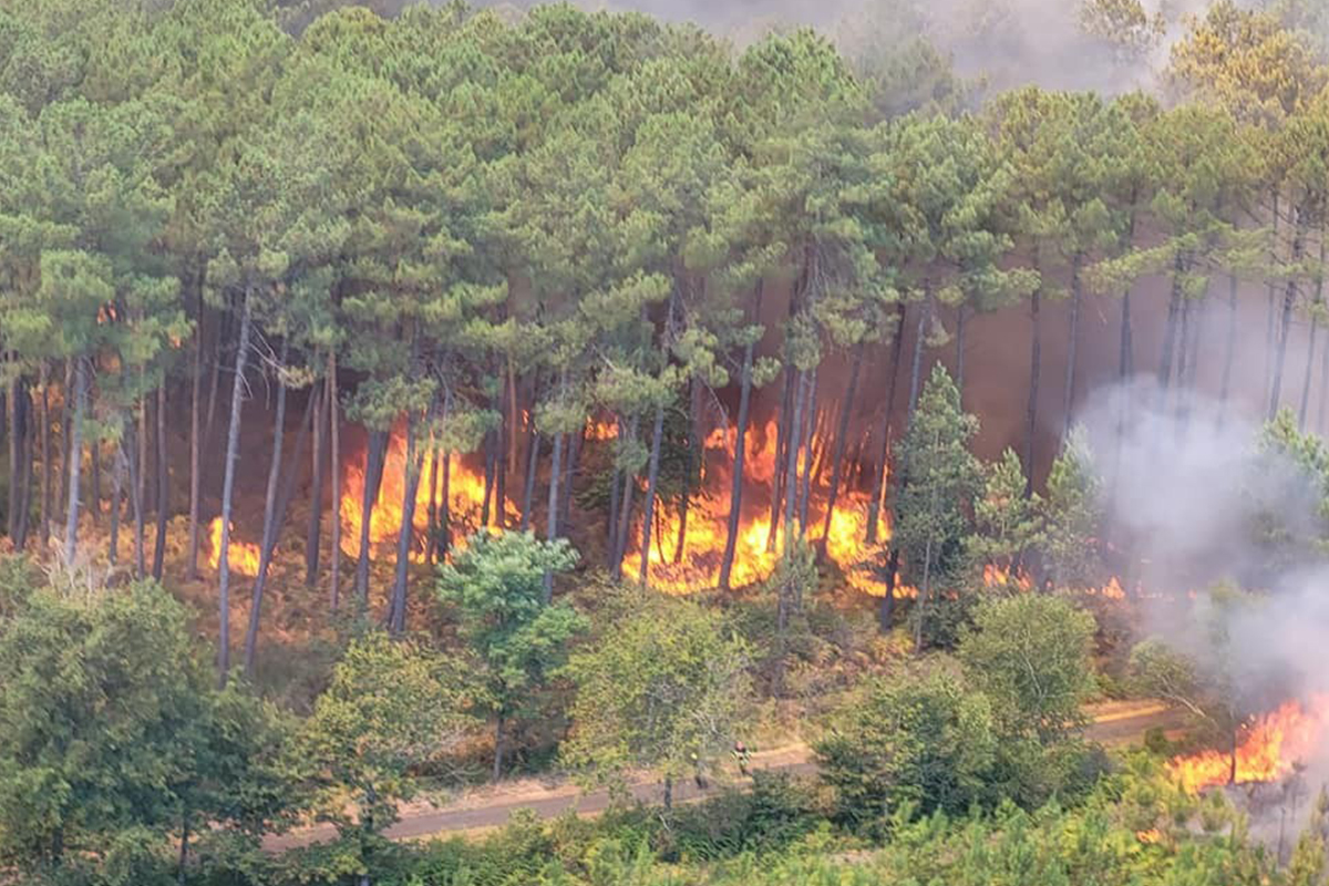 Fransa’nın güneybatısında orman yangını