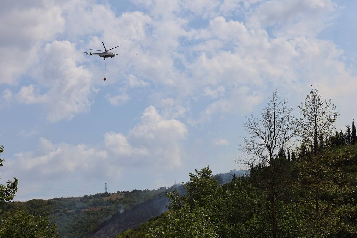 Kocaeli&#039;de ormanlık alanda çıkan yangın söndürüldü
