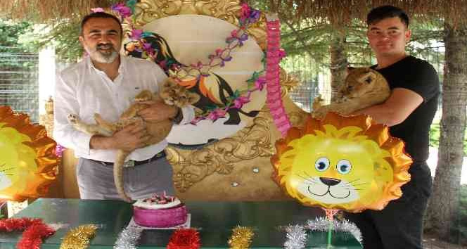 Ankara’nın aslanlarına 10 Ağustos Aslanlar Günü’nde pastalı kutlama