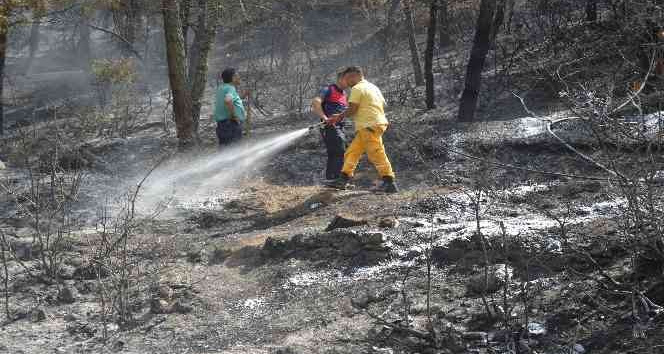 Tokat’taki orman yangınında 5 dönümlük alan zarar gördü