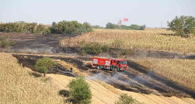 Edirne’de anız yangını