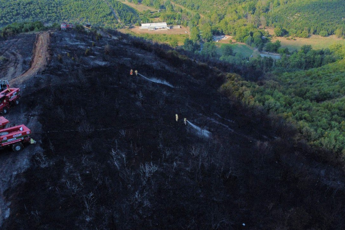 Kocaeli&#039;de ormanlık alanda yangın çıktı, 4 hektar alan küle döndü