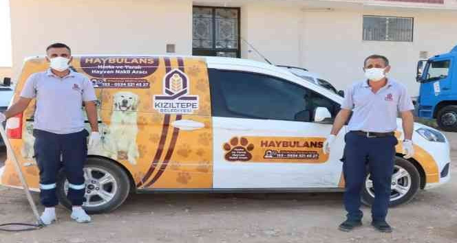 Kızıltepe’de ’Haybulans’ sokak hayvanlarının imdadına koşuyor