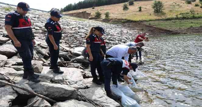 Kırklareli’nde 30 bin balık yavrusu göletlere salındı