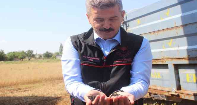 Çörek otu tohumu ihracatı Uşak’a 1 milyon dolar kazandırdı