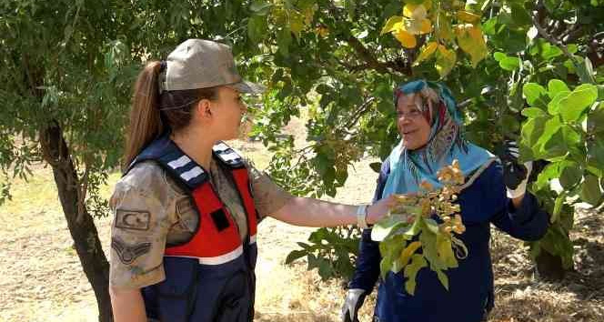 Ülke ekonomine getirisi 5 milyar TL, jandarma hırsızlara karşı nöbet tutuyor