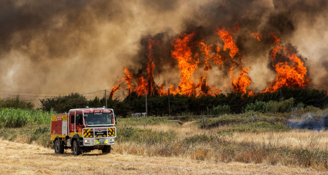 Portekizdeki orman yangınında 15 bin hektar alan kül oldu