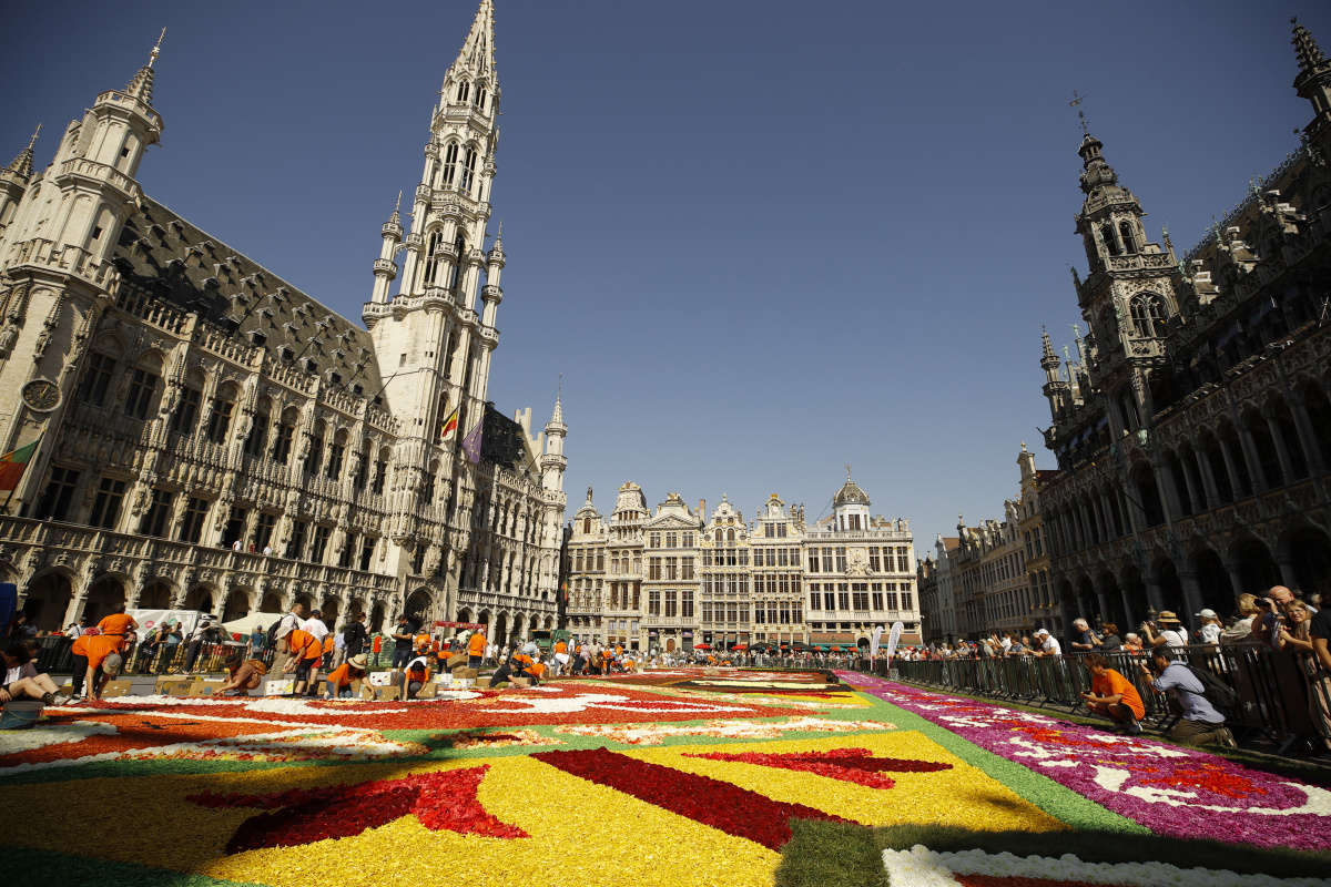 Belçika&#039;nın geleneksel &#039;çiçek halısı&#039; 4 yıl sonra yeniden döşendi