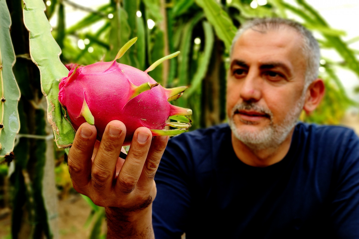 'Batarsın' diyenleri dinlemedi şimdi servet kazanıyor