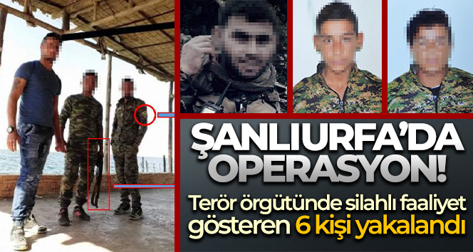 Terör örgütünde silahlı faaliyet gösteren 6 kişi Şanlıurfa’da yakalandı