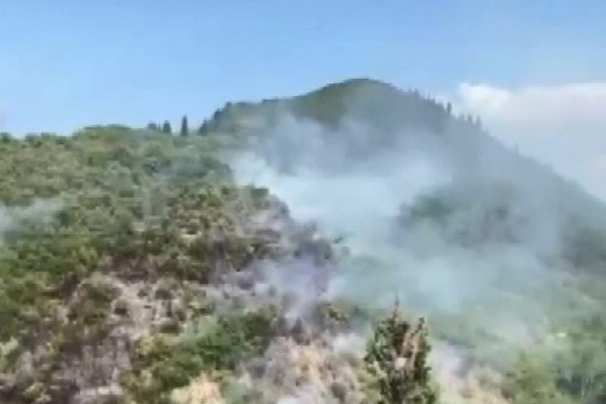 Kocaeli&#039;deki orman yangını kontrol altına alındı
